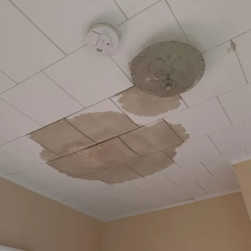 Ceiling Water Damage Repair in Grant City, NY